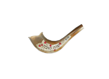 4  יח' שופר פלסטיק לילדים בצבע טבעי לראש השנה